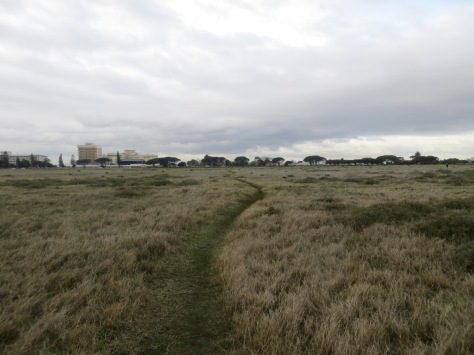 The Rondebosch Common, looking east, by day.